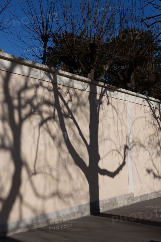 Paris, projected shadow