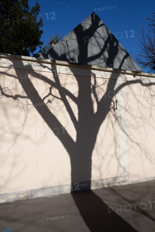Paris, projected shadow