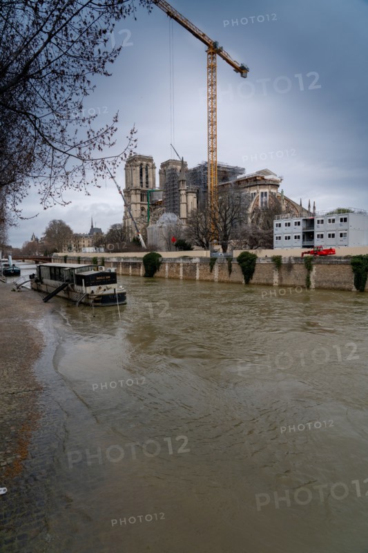 Cathédrale Notre-Dame de Paris