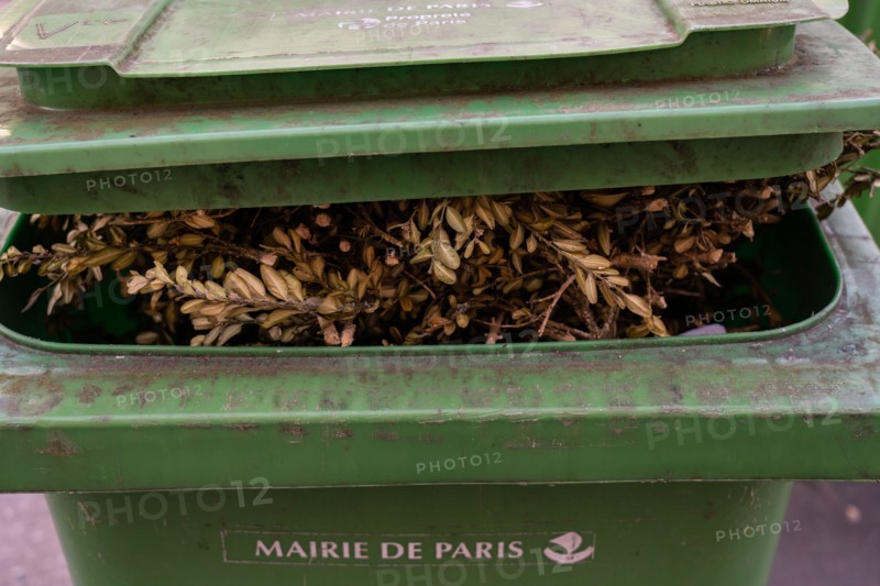 Paris, dustbin for green waste