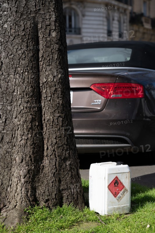 Paris, chemical product laid at the bottom of a tree