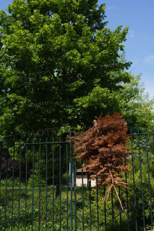 Paris starts re-opening from lockdown, May 2020