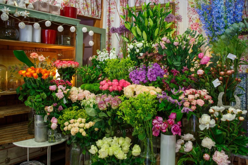 Paris, flower shop on rue d'Alésia