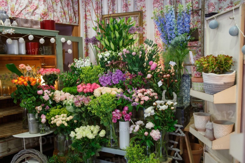 Paris, fleuriste rue d’Alésia