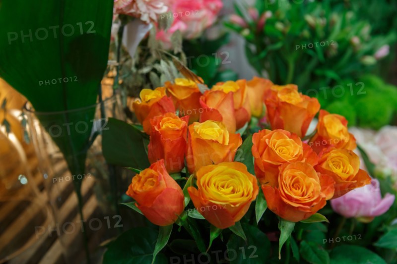 Paris, flower shop on rue d'Alésia