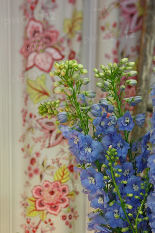Paris, fleuriste rue d’Alésia