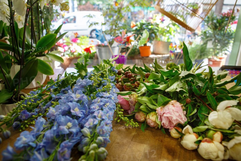 Paris, flower shop on rue d'Alésia