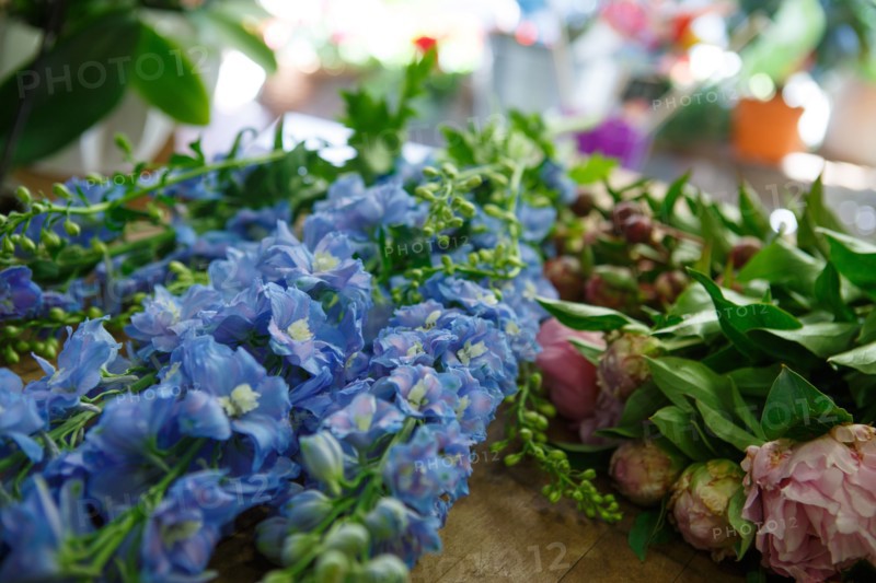 Paris, flower shop on rue d'Alésia