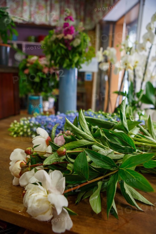 Paris, flower shop on rue d'Alésia