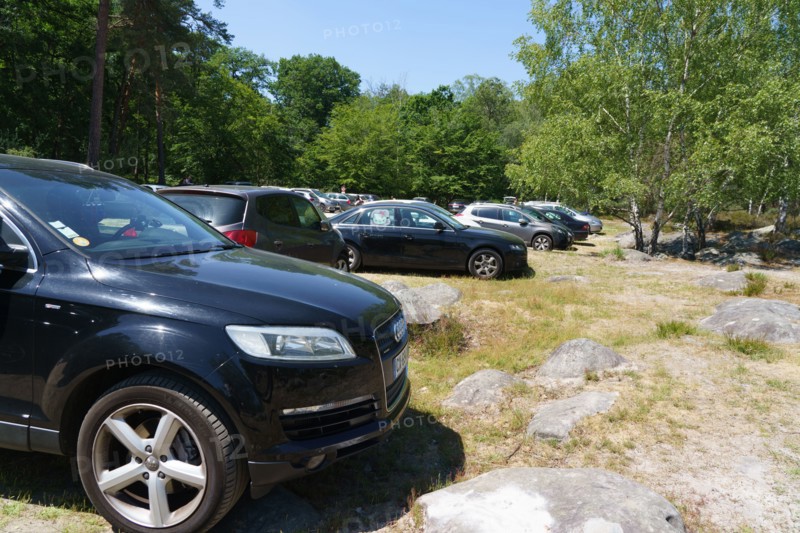Forest of Fontainebleau