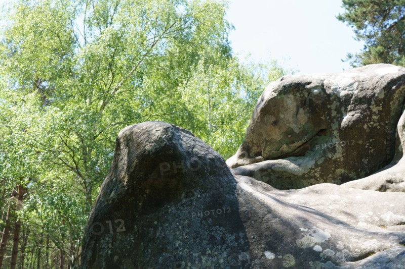 Forêt de Fontainebleau