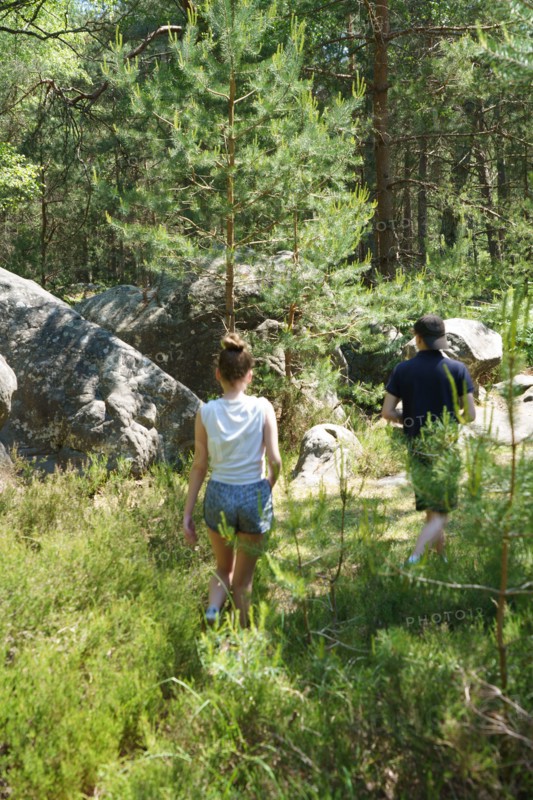 Forêt de Fontainebleau