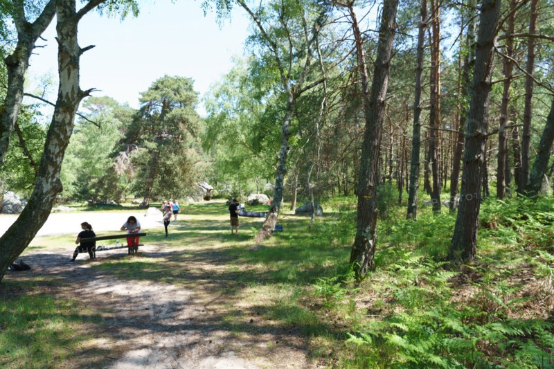 Forêt de Fontainebleau