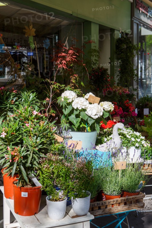 Paris, flower shop on rue d'Alésia