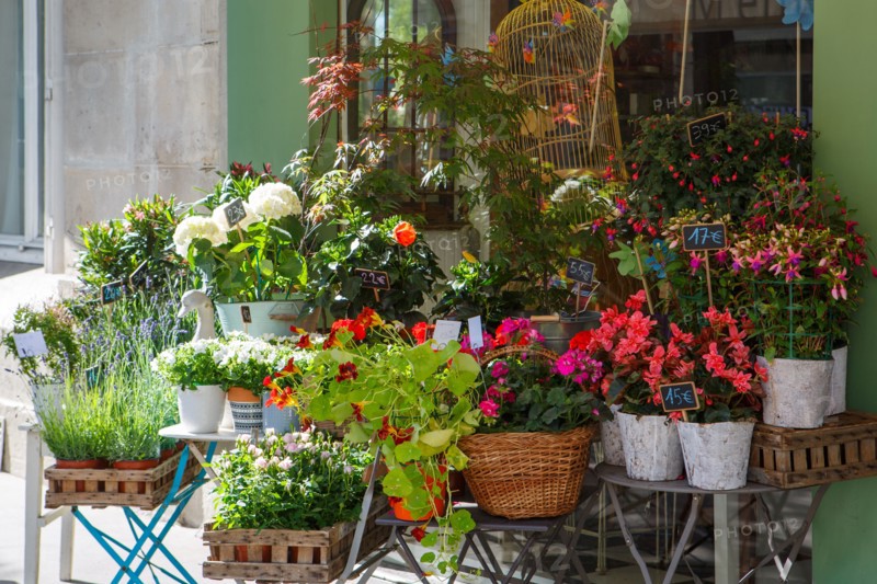 Paris, flower shop on rue d'Alésia