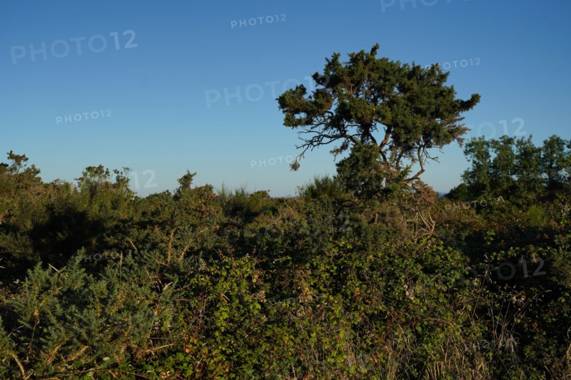 Pointe de Kermorvan, Finistère nord