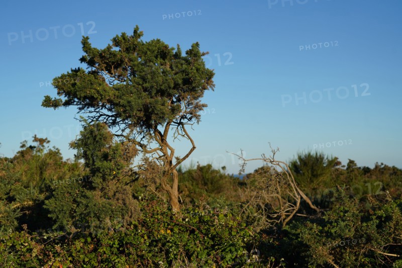 Pointe de Kermorvan, Finistère nord