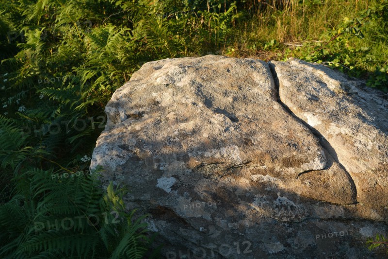 Pointe de Kermorvan, Finistère nord