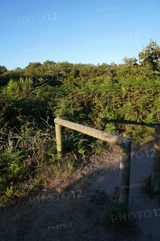 Pointe de Kermorvan, Finistère nord, GR34