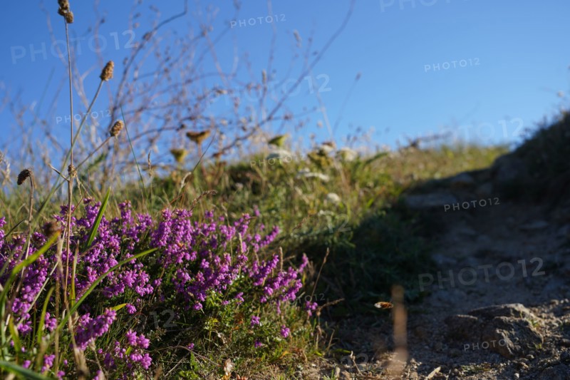 Pointe de Kermorvan, North tip of Finistère