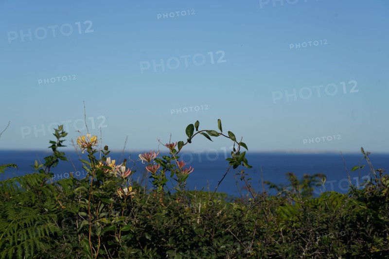 Pointe de Kermorvan, Finistère nord