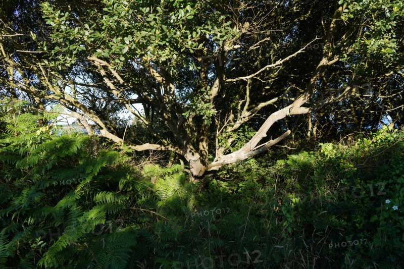 Pointe de Kermorvan, Finistère nord