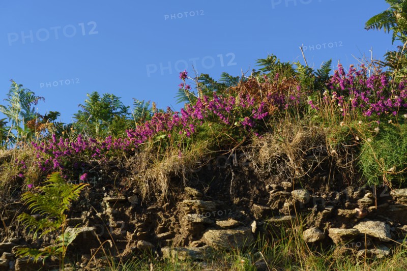 Pointe de Kermorvan, North tip of Finistère
