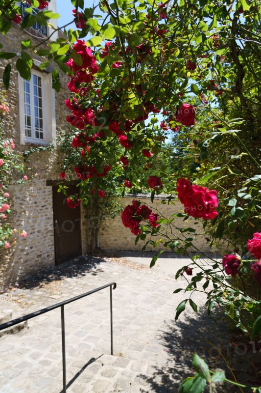 Montfort l'Amaury, Yvelines
