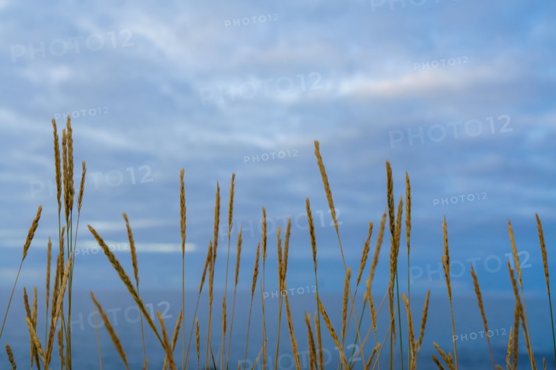 Pointe de Trévignon, Finistère sud