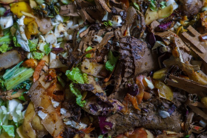 Déchets alimentaires en bac de lombricompostage