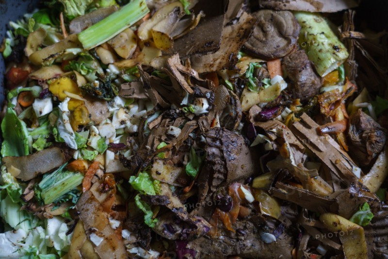Déchets alimentaires en bac de lombricompostage