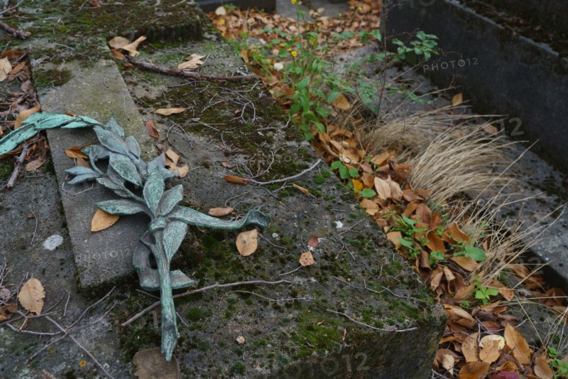 Paris, Montparnasse Cemetery at All Saints' Day