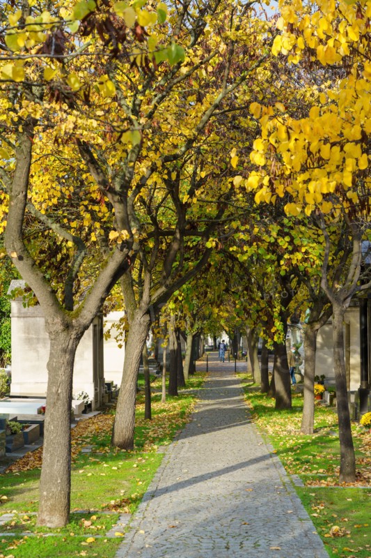 Paris, Montparnasse Cemetery at All Saints' Day