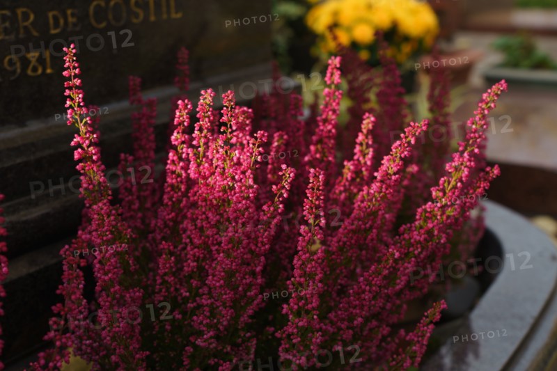 Paris, Montparnasse Cemetery at All Saints' Day