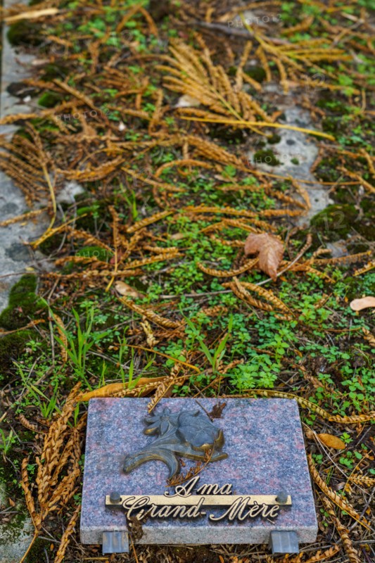 Paris, cimetière du Montparnasse à la Toussaint