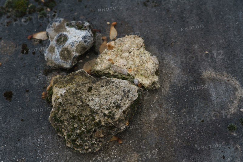 Paris, Montparnasse Cemetery at All Saints' Day