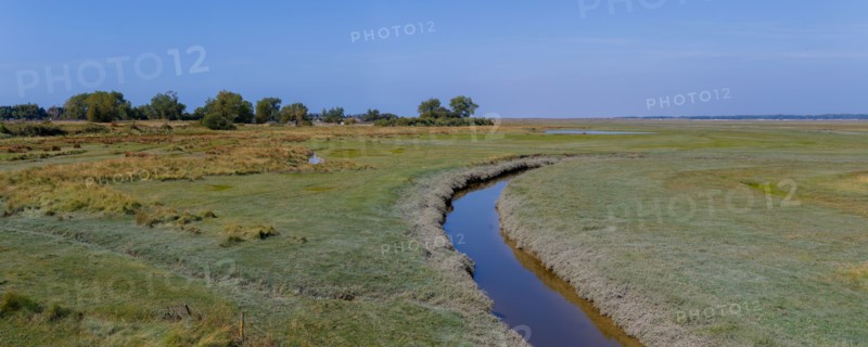Havre de la Vanlée (Manche department)