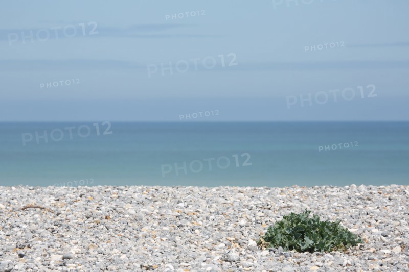 Quiberville-sur-Mer (Seine-Maritime)