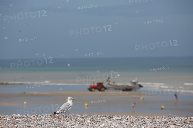 Quiberville-sur-Mer (Seine-Maritime)