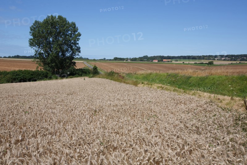 Longueil (Seine-Maritime)