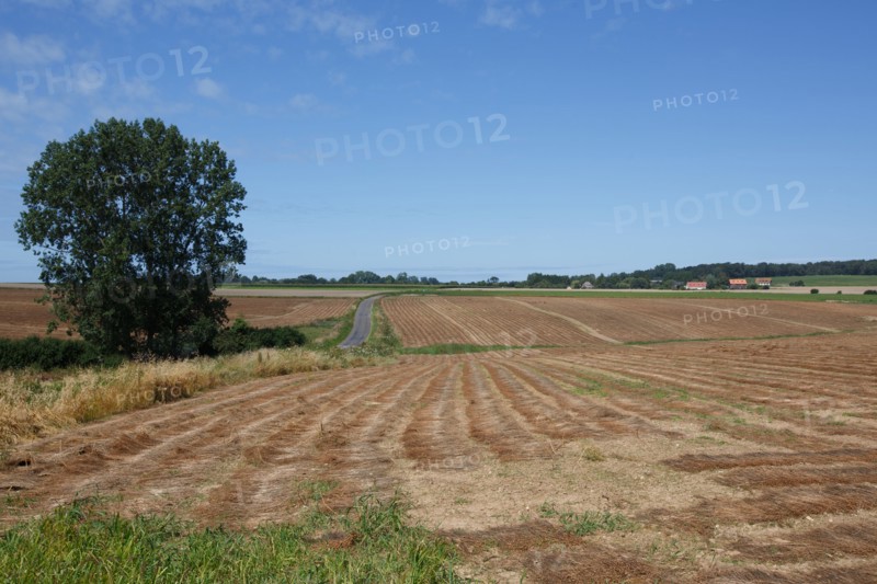 Longueil (Seine-Maritime)