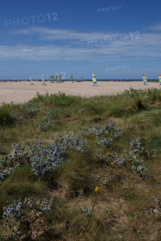 Ouistreham Riva-Bella (Seine-Maritime)