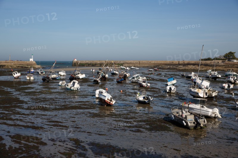 Barfleur (Manche)