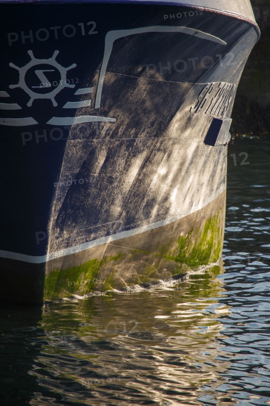 Barfleur (Manche department)