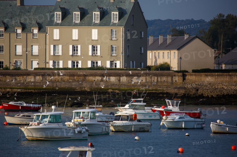 Barfleur (Manche department)