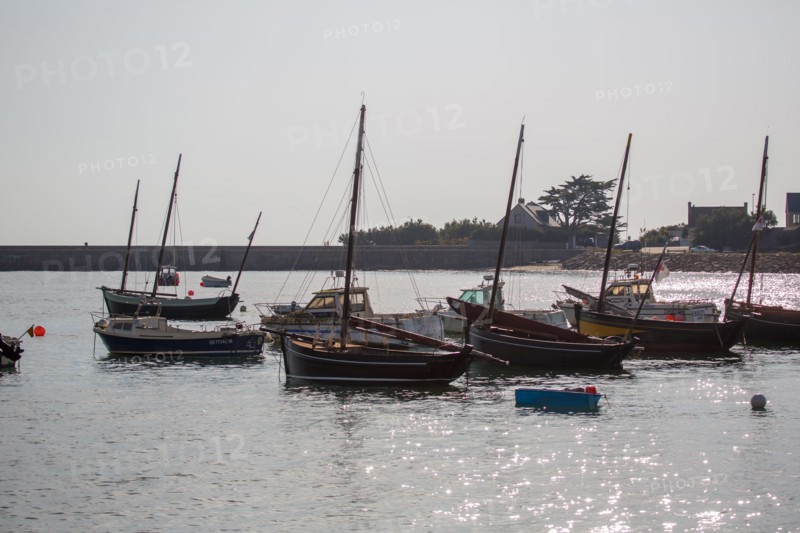Barfleur (Manche department)