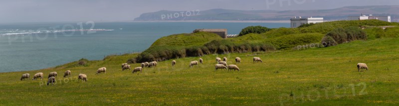 Cap Blanc-Nez (Pas-de-Calais)