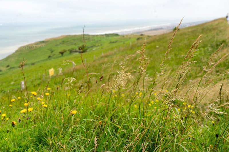 Cap Blanc-Nez (Pas-de-Calais)