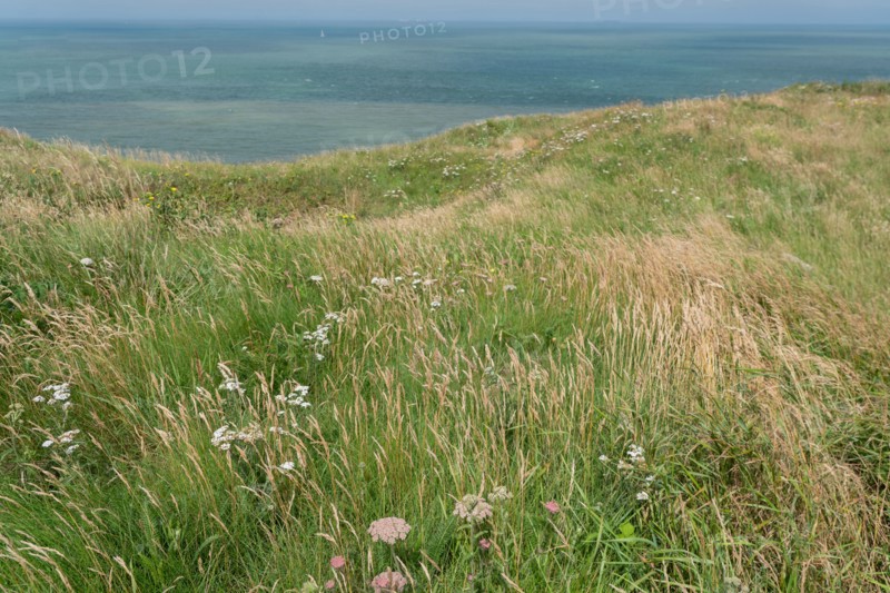 Cap Blanc-Nez (Pas-de-Calais)