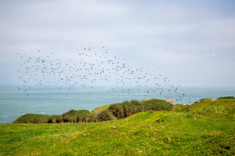 Cap Blanc-Nez (Pas-de-Calais)